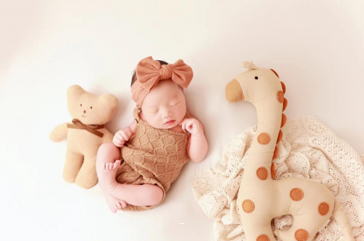 广东宝宝虾的做法 广东宝宝虾的做法